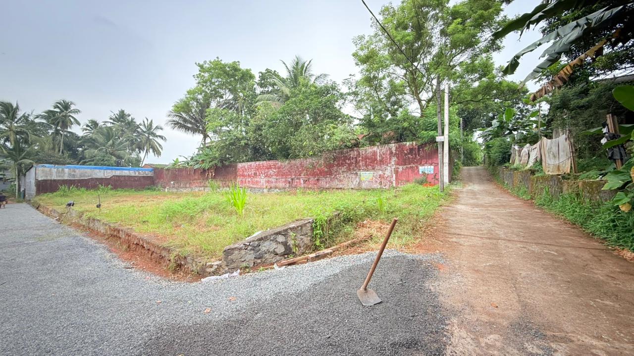 Land for Sale in Biyagama /බියගම වෙළද කලාපයට 300m දුරින් වටිනා ඉඩමක්