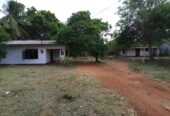 Residential Land for Sale in Anuradhapura