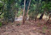 House For Sale In Bandarawela