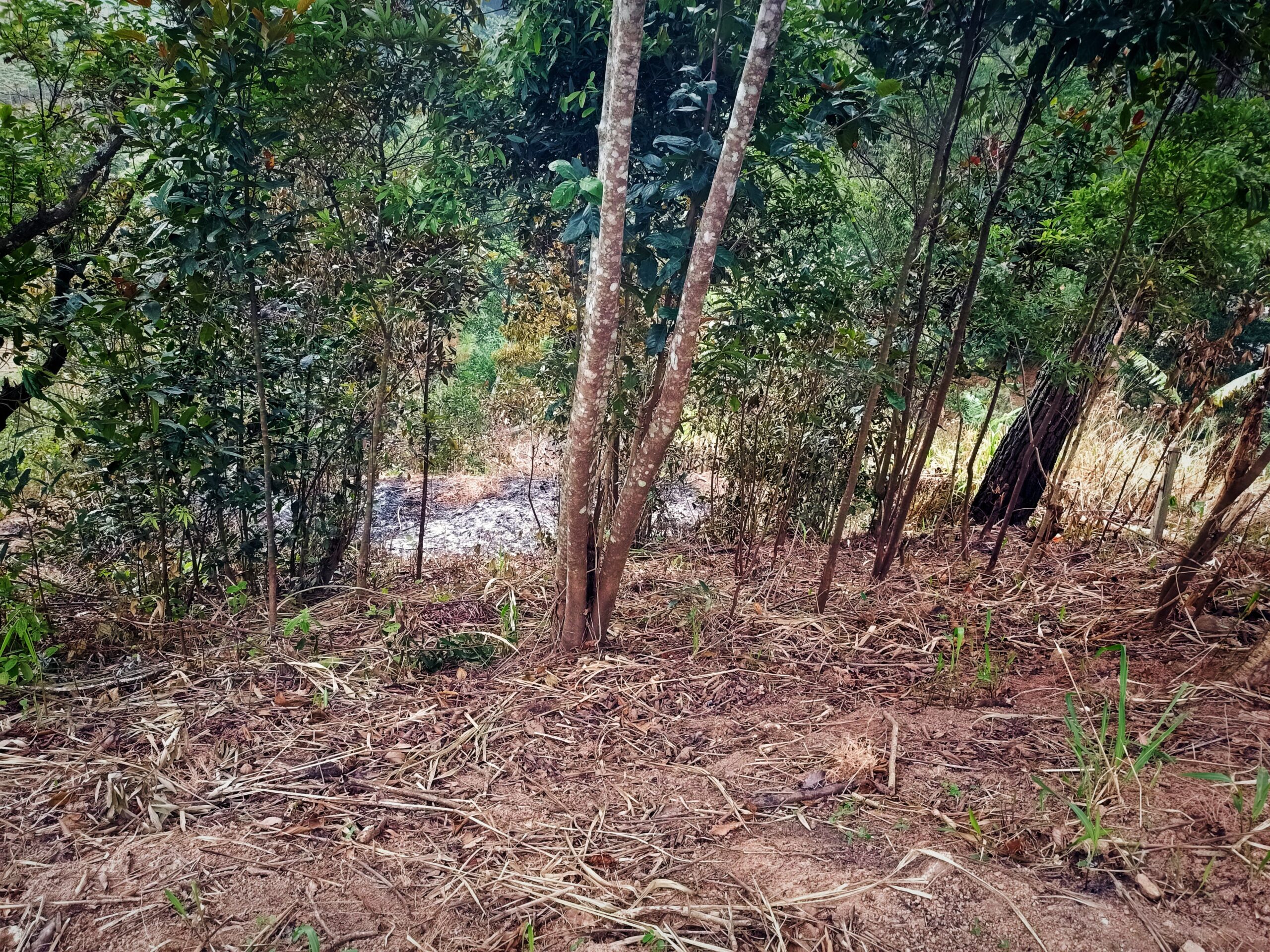 House For Sale In Bandarawela