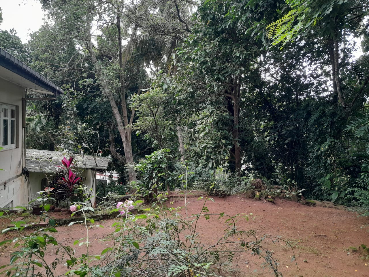 23 Perch Land for Sale in Aniwatte, Kandy