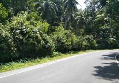 Land for Sale – Facing Main Road Hakbellawaka