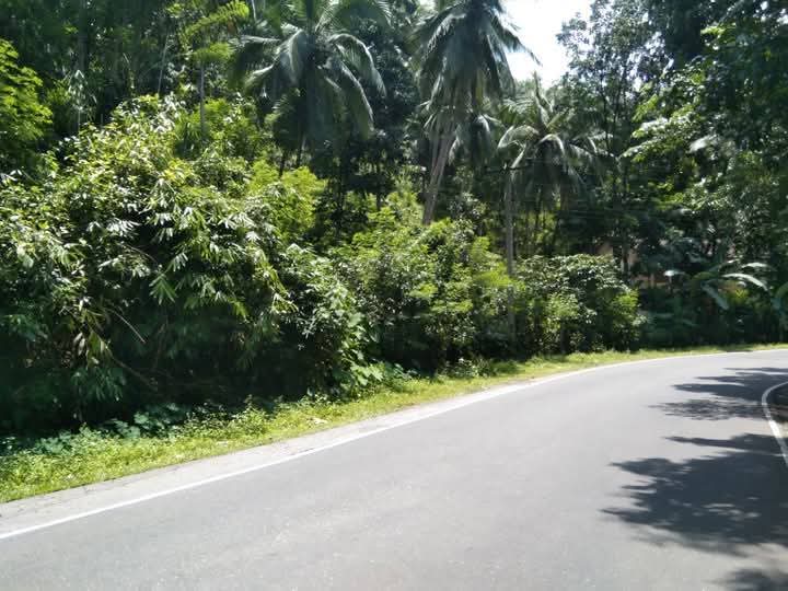 Land for Sale – Facing Main Road Hakbellawaka