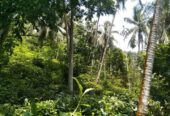 Land for Sale – Facing Main Road Hakbellawaka