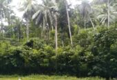 Land for Sale – Facing Main Road Hakbellawaka
