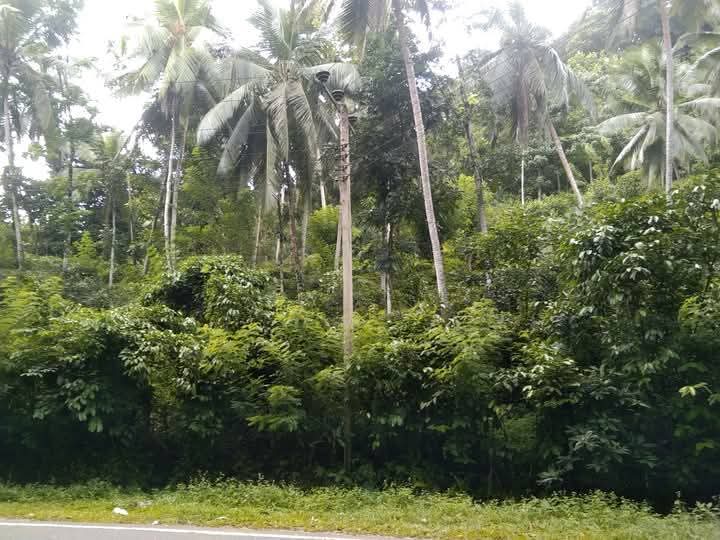 Land for Sale – Facing Main Road Hakbellawaka