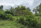 Semi Commercial Land for Sale at Weliveriya