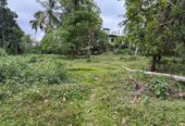 Semi Commercial Land for Sale at Weliveriya