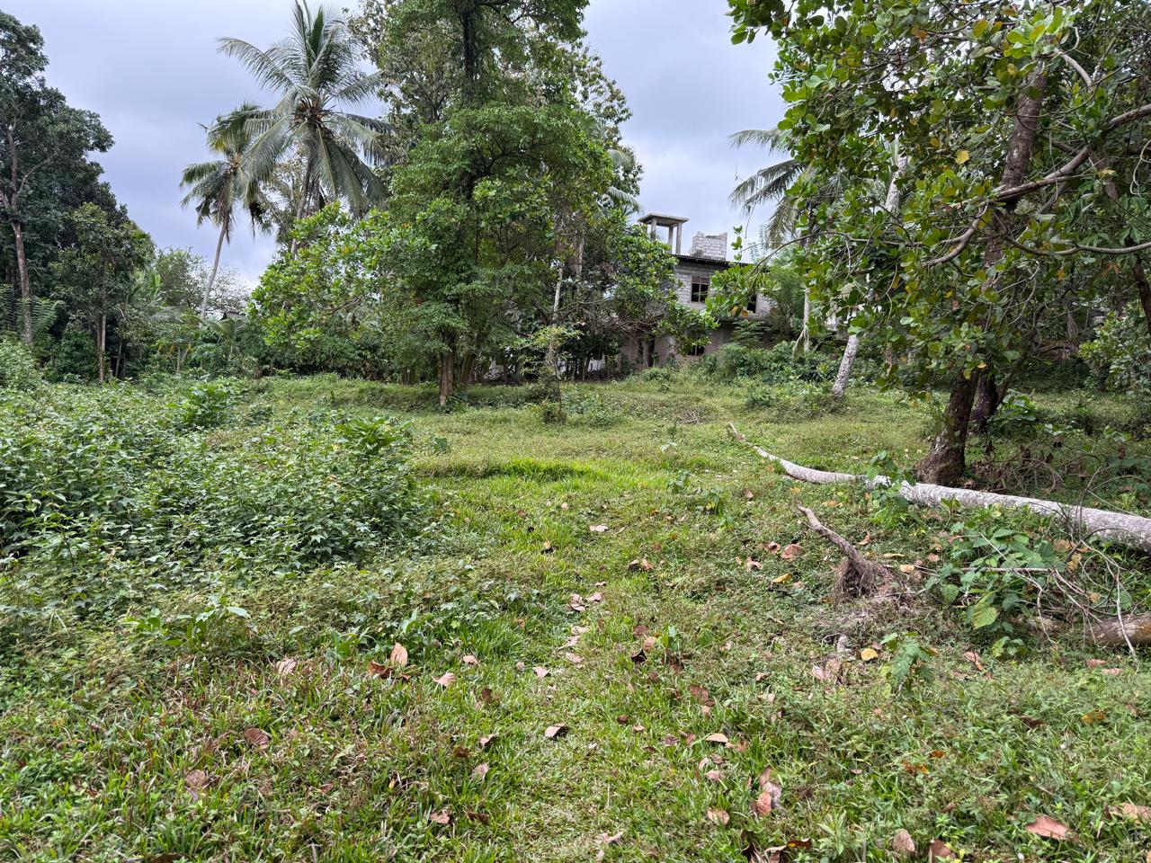 Semi Commercial Land for Sale at Weliveriya