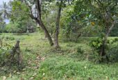 Semi Commercial Land for Sale at Weliveriya