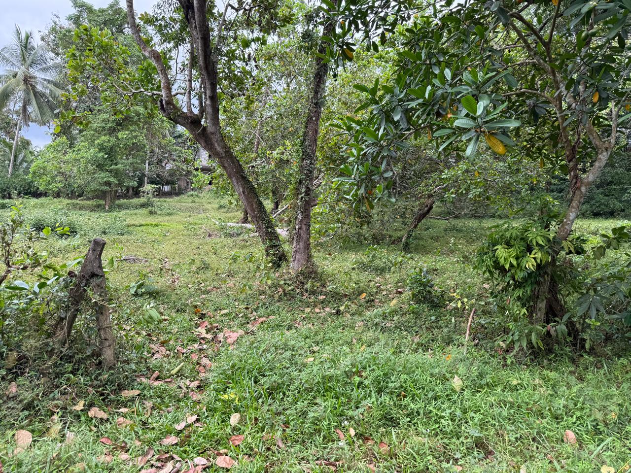 Semi Commercial Land for Sale at Weliveriya