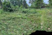 Semi Commercial Land for Sale at Weliveriya