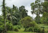 Semi Commercial Land for Sale at Weliveriya
