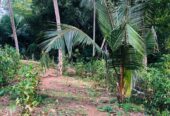 Land For Sale Ragama