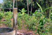Land For Sale Ragama