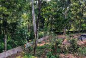 Land For Sale Ragama