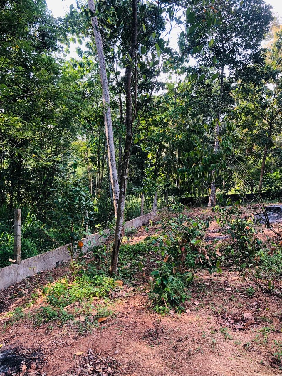 Land For Sale Ragama