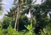 Land For Sale Ragama