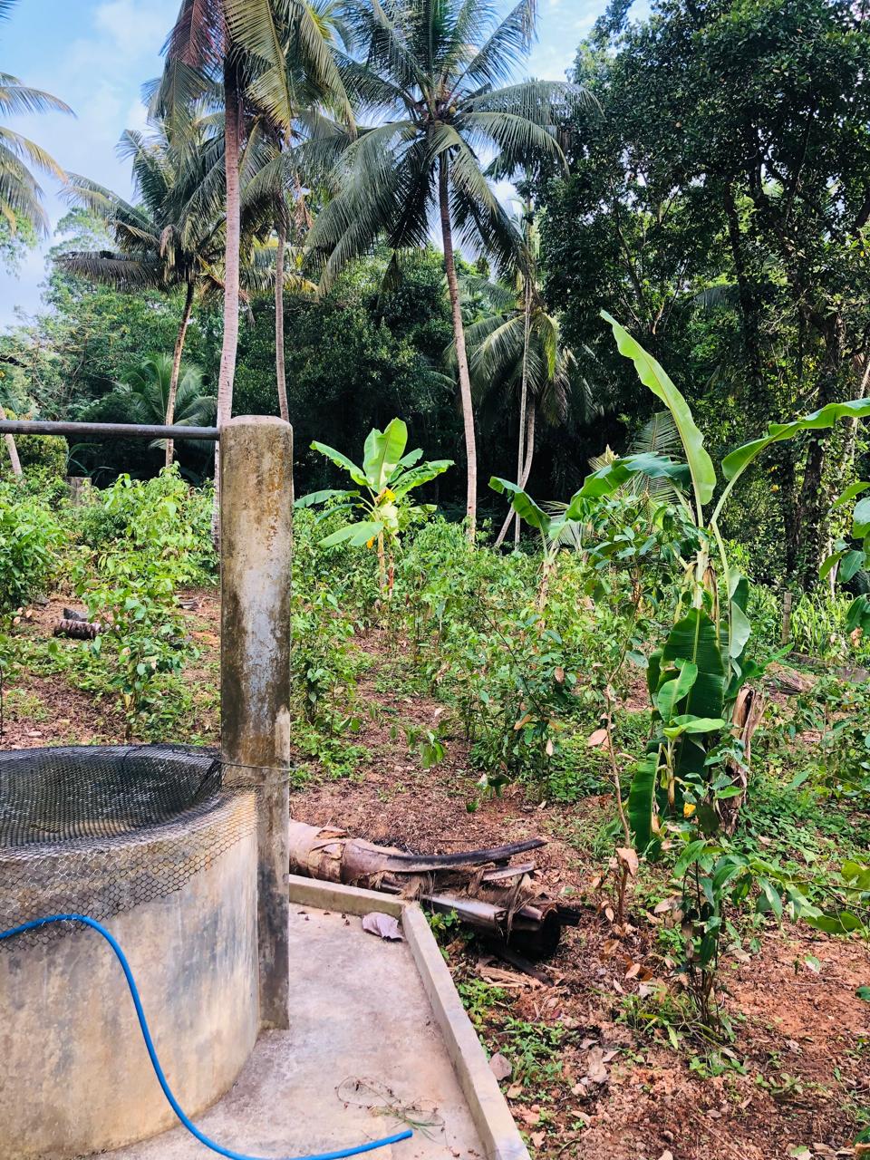 Land For Sale Ragama