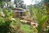Residential Land for Sale in Suburb Elpitiya