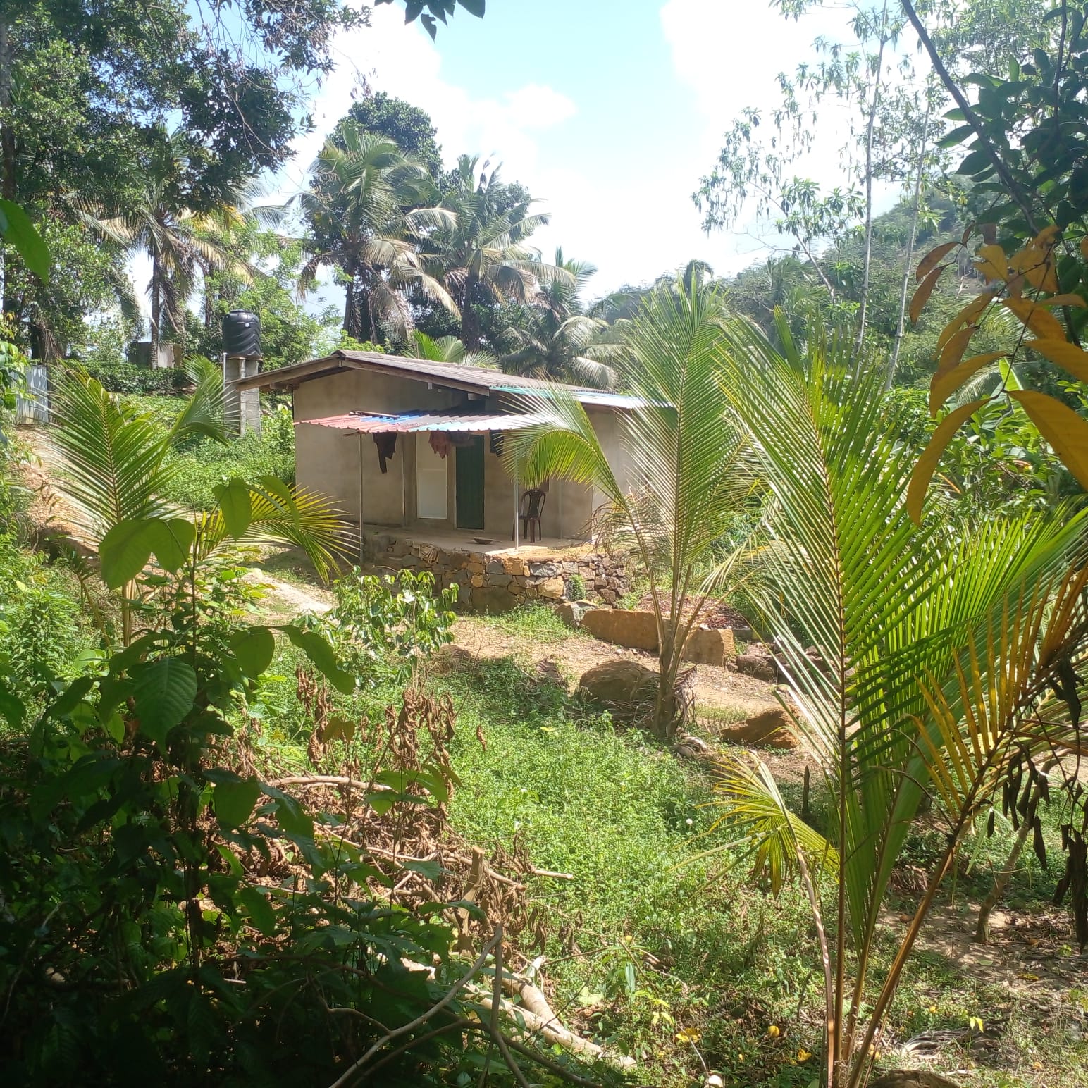 Residential Land for Sale in Suburb Elpitiya