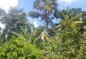 Residential Land for Sale in Suburb Elpitiya