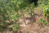 Residential Land for Sale in Suburb Elpitiya