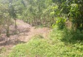 Residential Land for Sale in Suburb Elpitiya