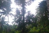 Residential Land for Sale in Suburb Elpitiya
