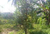 Residential Land for Sale in Suburb Elpitiya
