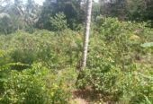 Residential Land for Sale in Suburb Elpitiya