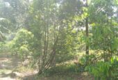 Residential Land for Sale in Suburb Elpitiya