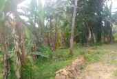 Residential Land for Sale in Suburb Elpitiya