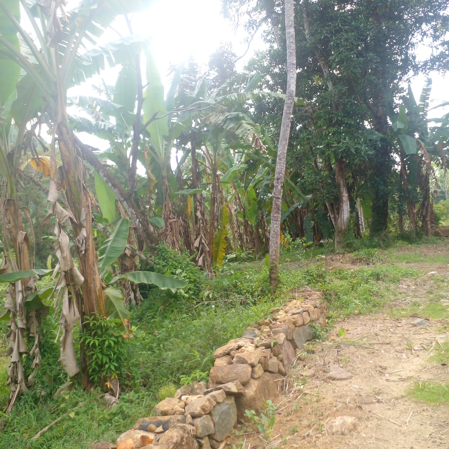 Residential Land for Sale in Suburb Elpitiya