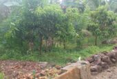 Residential Land for Sale in Suburb Elpitiya