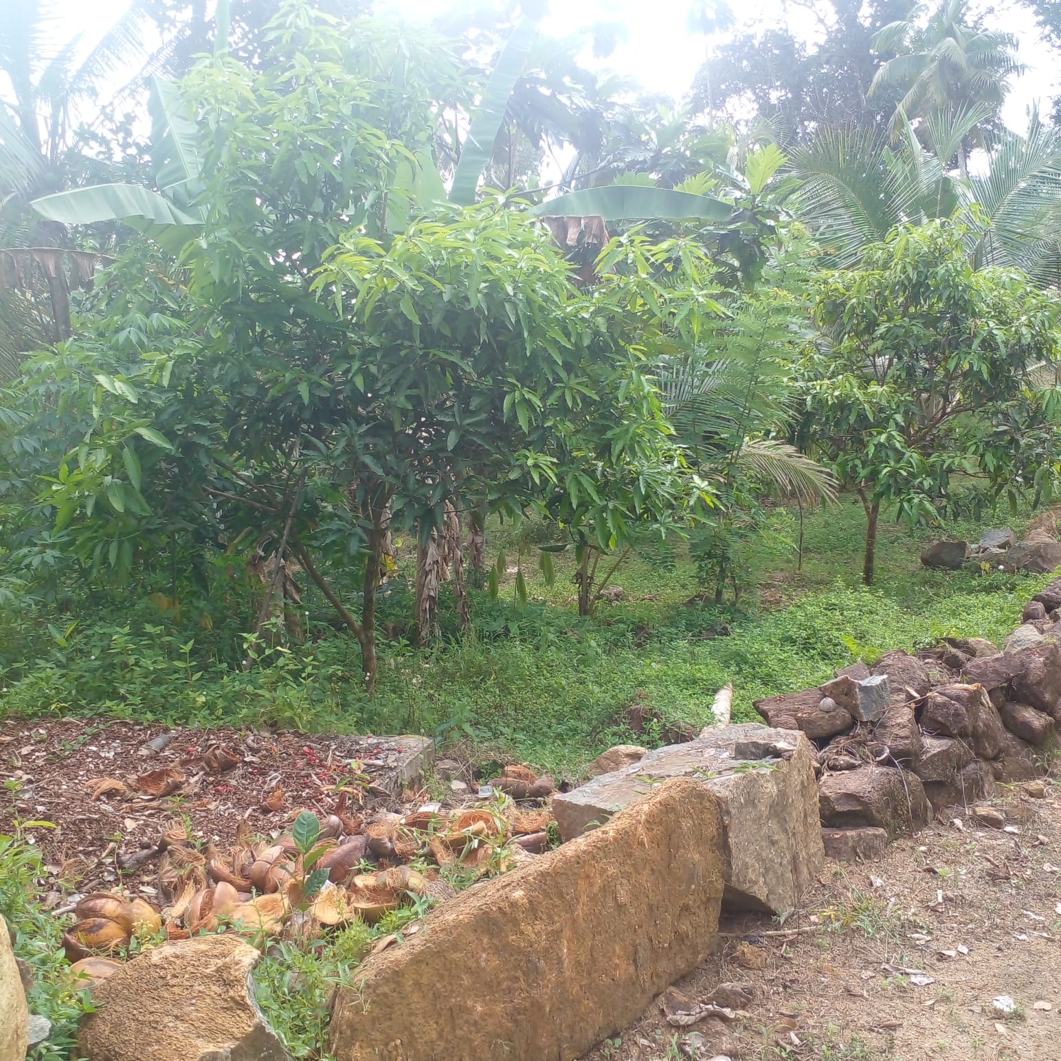 Residential Land for Sale in Suburb Elpitiya