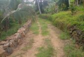 Residential Land for Sale in Suburb Elpitiya