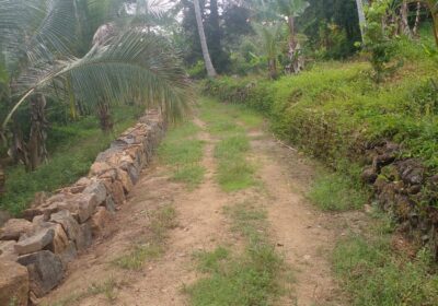 Residential Land for Sale in Suburb Elpitiya