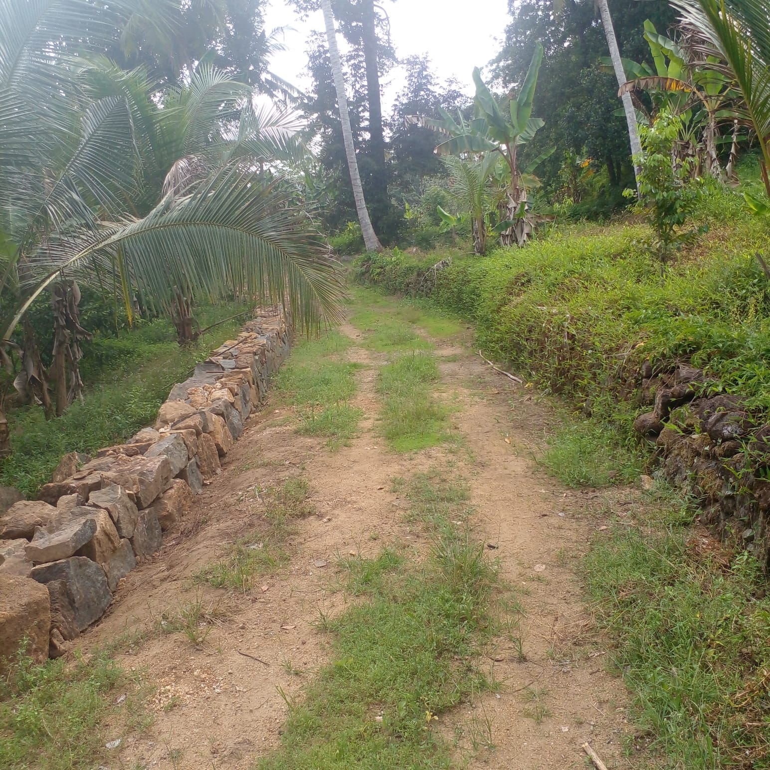 Residential Land for Sale in Suburb Elpitiya