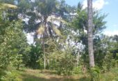 Residential Land for Sale in Suburb Elpitiya