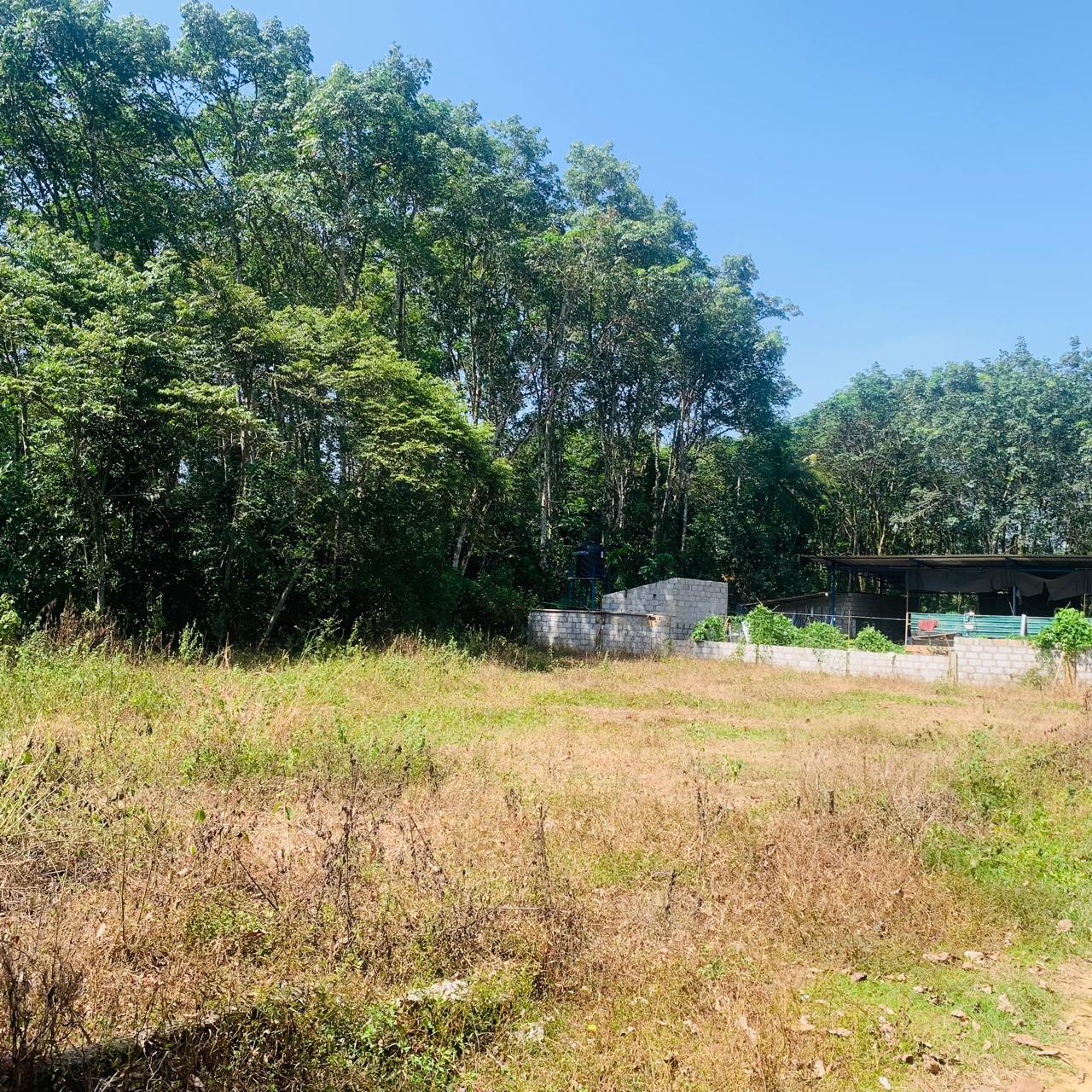 Land for Sale in Homagama Halbarawa