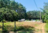 Land for Sale in Homagama Halbarawa