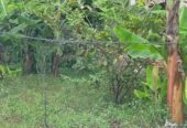 30p Residential Bare Land Athulkotte