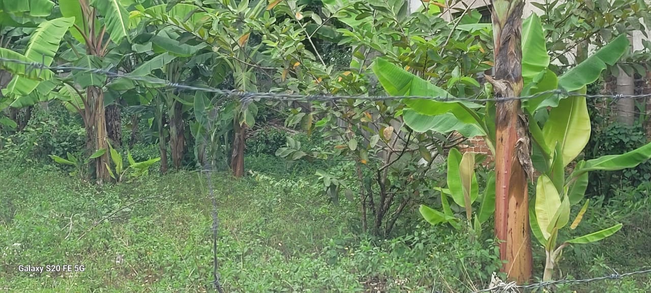 30p Residential Bare Land Athulkotte