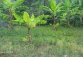 30p Residential Bare Land Athulkotte