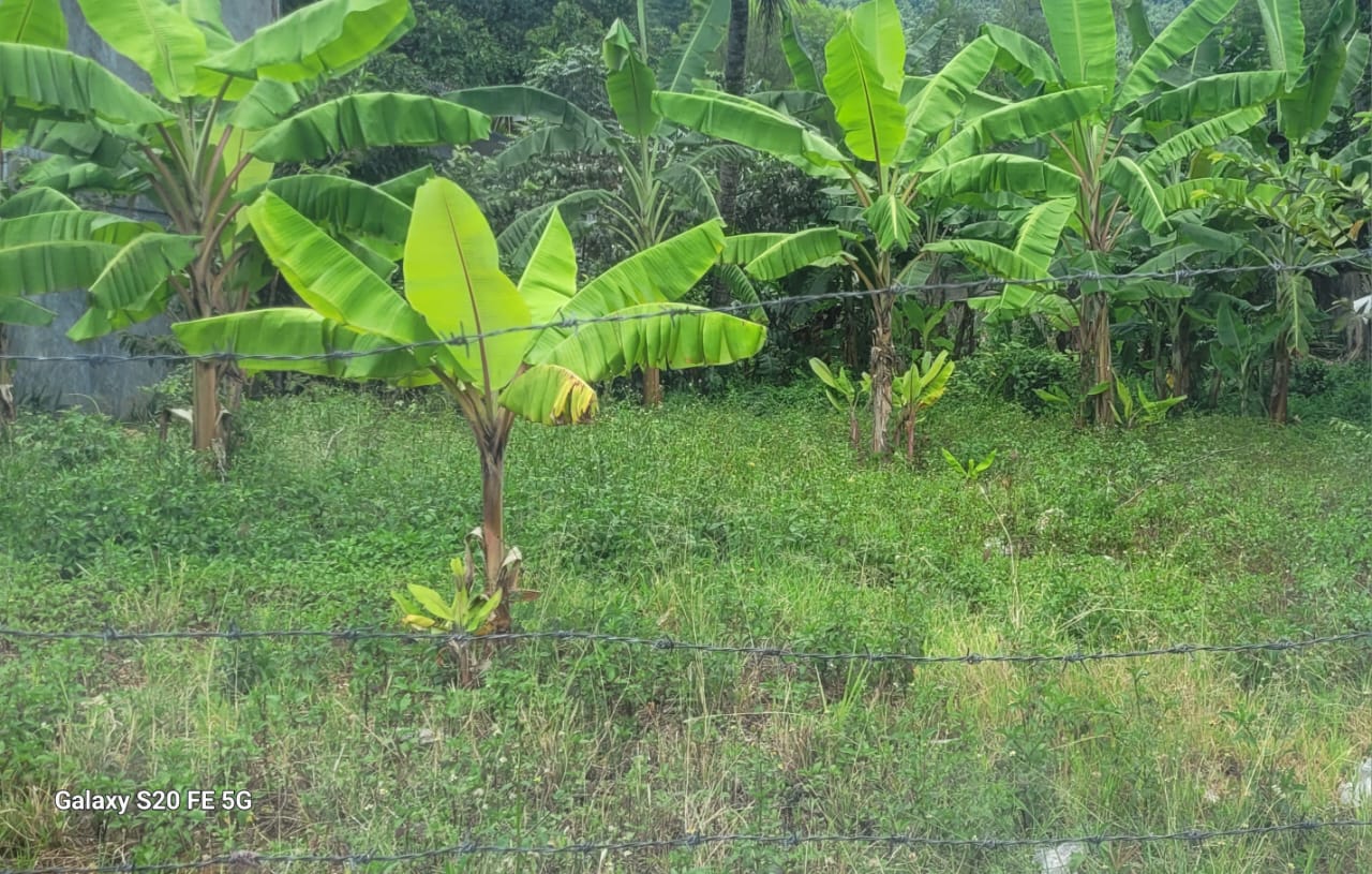 30p Residential Bare Land Athulkotte