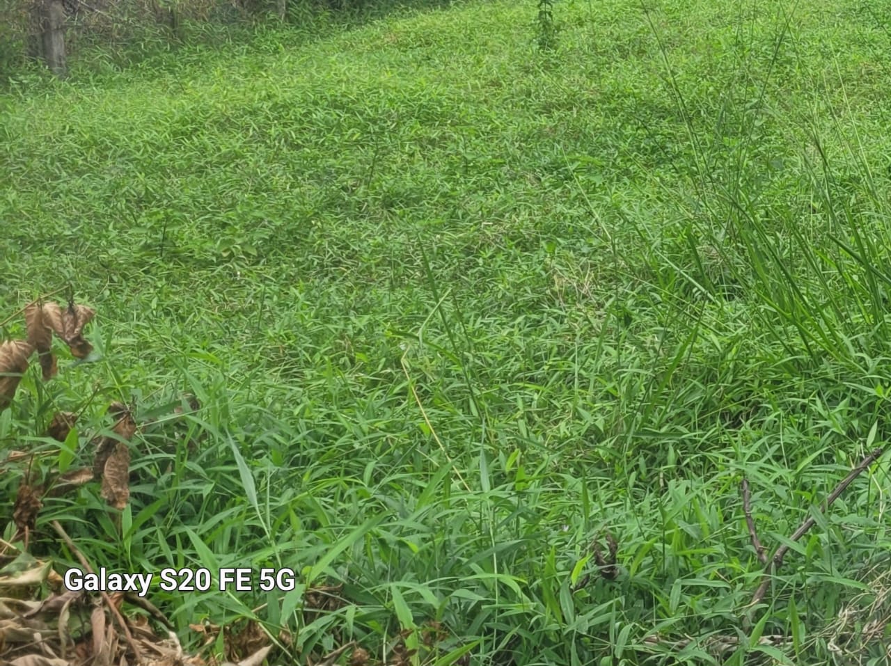 30p Residential Bare Land Athulkotte