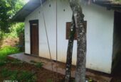 අගනා නිවසක් සහිත ඉඩමක් විකිනීමට මහර