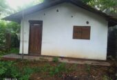 අගනා නිවසක් සහිත ඉඩමක් විකිනීමට මහර