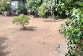 Land for Sale in Kadawatha 80 Perches